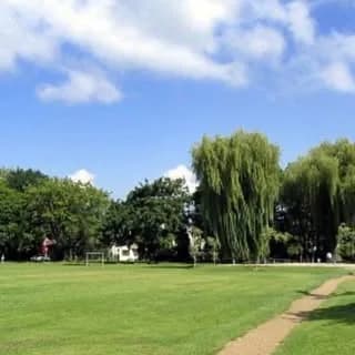 Douglas Park Runners logo
